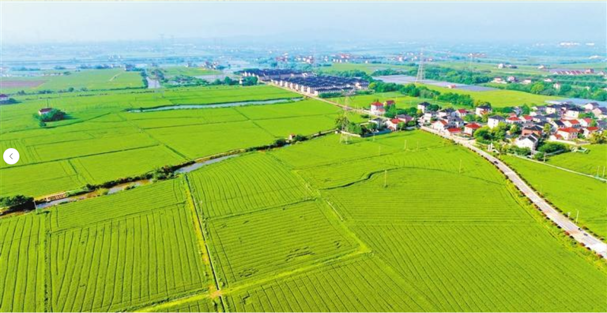 平武县 2020 年高标准农田建设项目 – 古城镇、龙安镇标段
